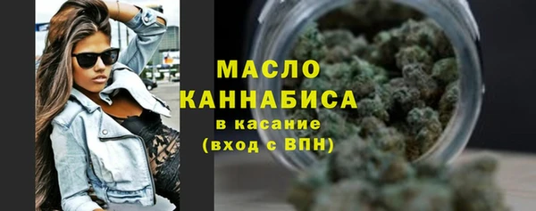 молекула духа Лабытнанги