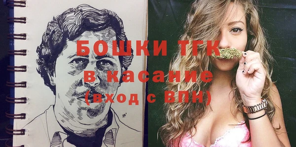 молекула духа Лабытнанги