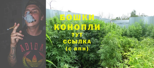 ПСИЛОЦИБИНОВЫЕ ГРИБЫ Лагань