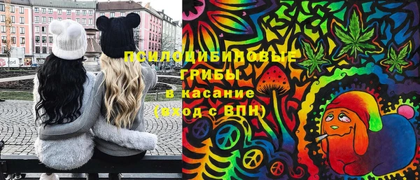 мдпв Абаза