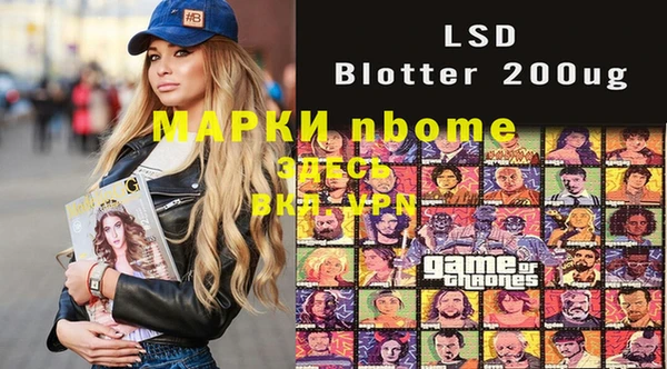 молекула духа Лабытнанги
