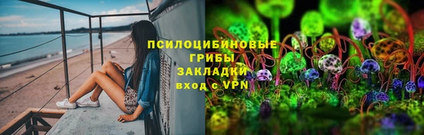 ГАЛЛЮЦИНОГЕННЫЕ ГРИБЫ Абдулино