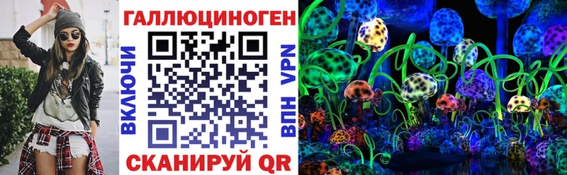 Псилоцибиновые грибы Cubensis  что такое   Черногорск 